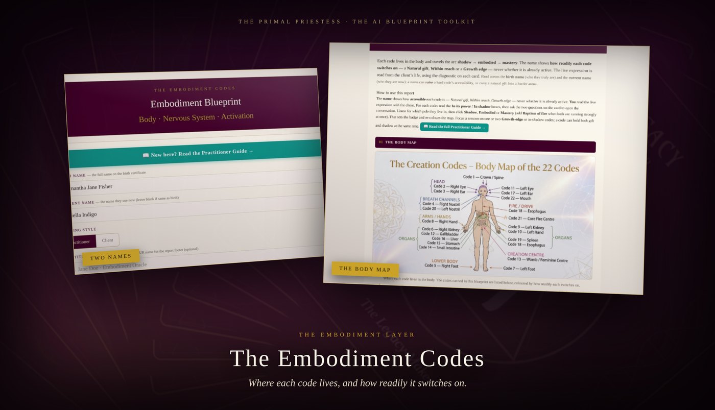 The Embodiment Codes tool